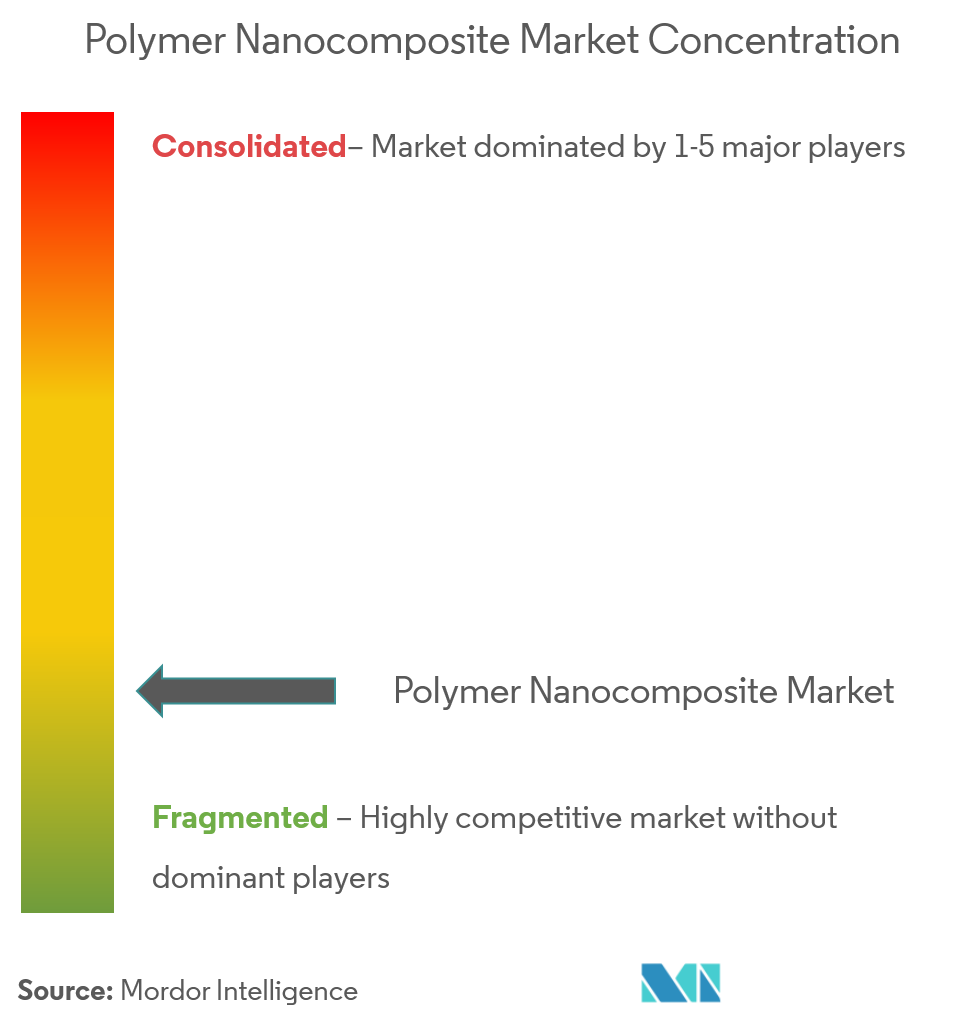 Nanocomposite polymèreConcentration du marché